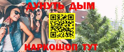 apvp Кингисепп