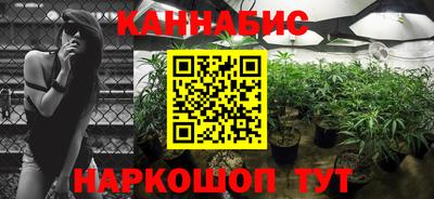 apvp Кингисепп