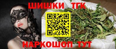 apvp Кингисепп