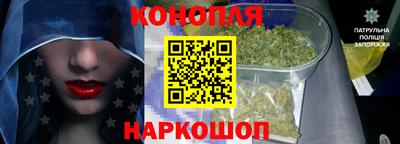apvp Кингисепп