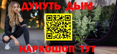 apvp Кингисепп