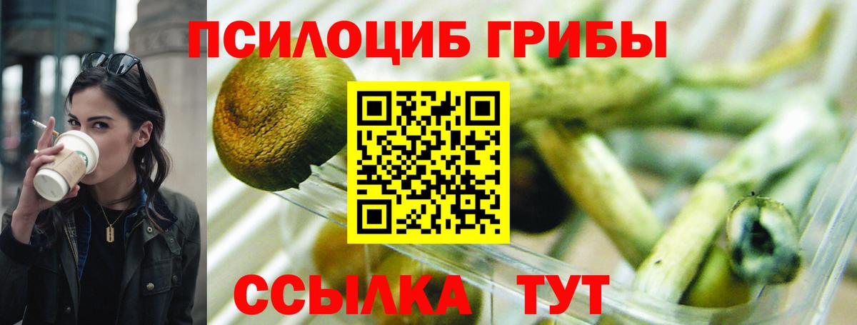 Псилоцибиновые грибы Psilocybine cubensis  Галлюциногенные грибы Magic Shrooms  Крымск  Вход с VPN 
